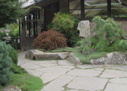 神秘的中國(guó)“養(yǎng)生術(shù)”