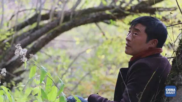 小康之路：他們?cè)?jīng)是伐木人，如今卻成了護(hù)林員和藏香廠老板丨解碼中國(guó)